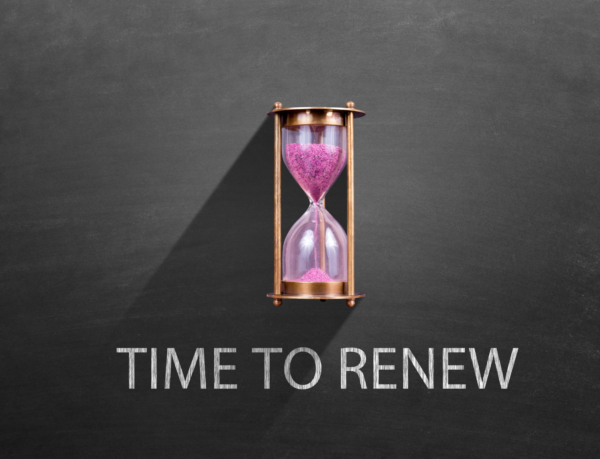 Miniatura para: Sencillas buenas prácticas de renovación de dominios para proteger su marca en Internet